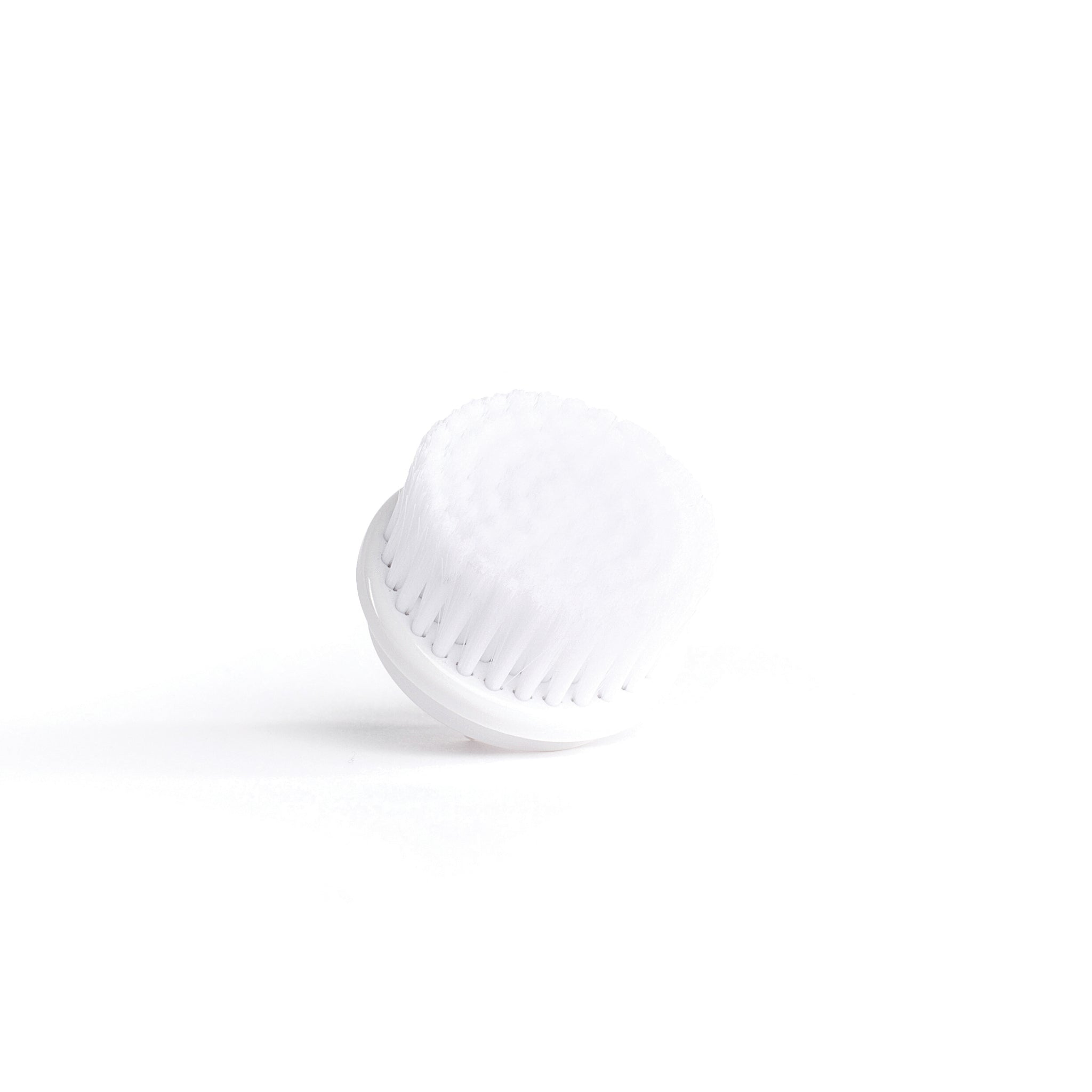 Regular (All Purpose) Brush Head Replacement